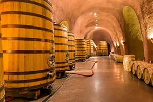 galeria-vinhedo-bodegas